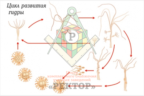 Кракен онлайн магазин